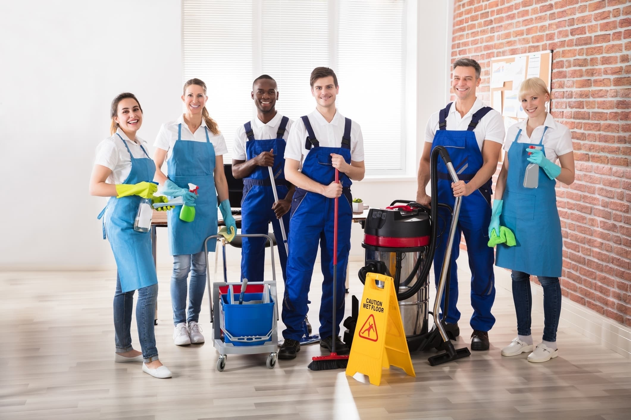 Professional cleaning services