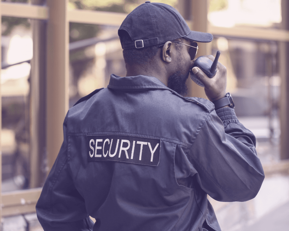 Security professional